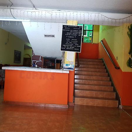 Tuxtla Gutiérrez Hotel Avenida מראה חיצוני תמונה